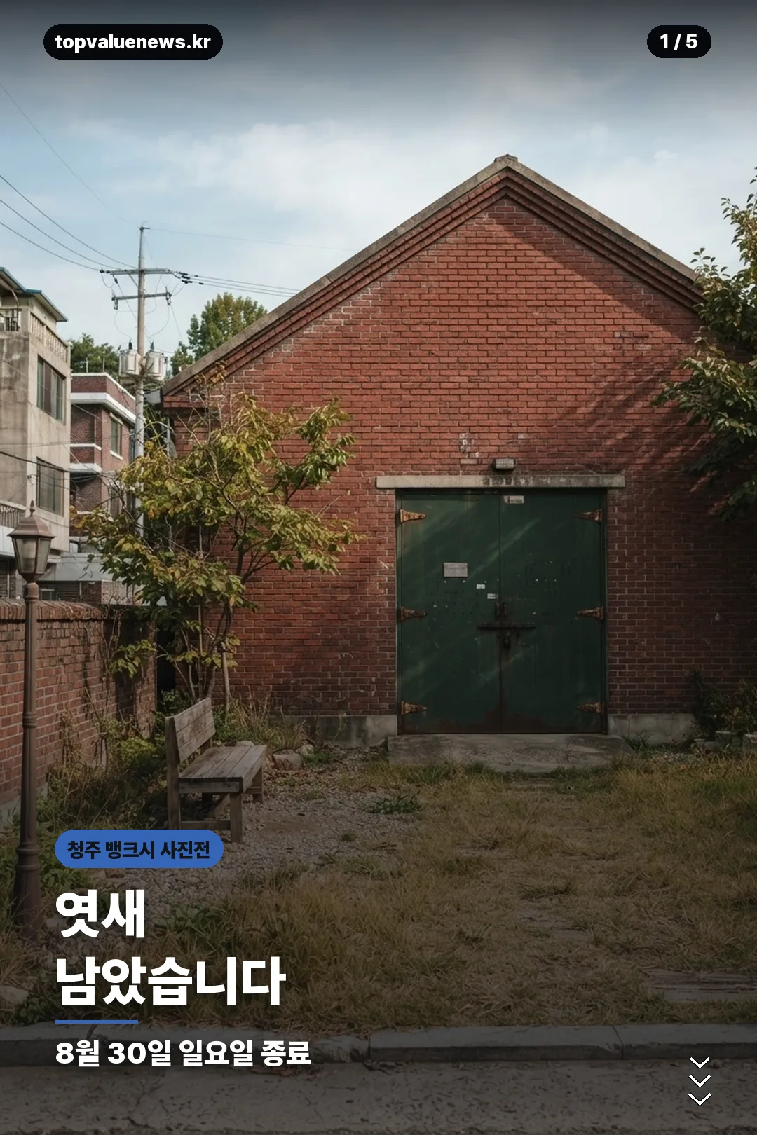 청주 뱅크시 사진전 동부창고 관람 안내 카드 1