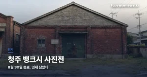 청주 뱅크시 사진전 | 8월 30일 종료, 남은 일정과 동부창고 관람 시간 banksy-cheongju-exhibition-thumbe