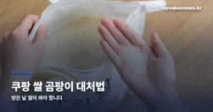 coupang-rice-mold-thumbc
