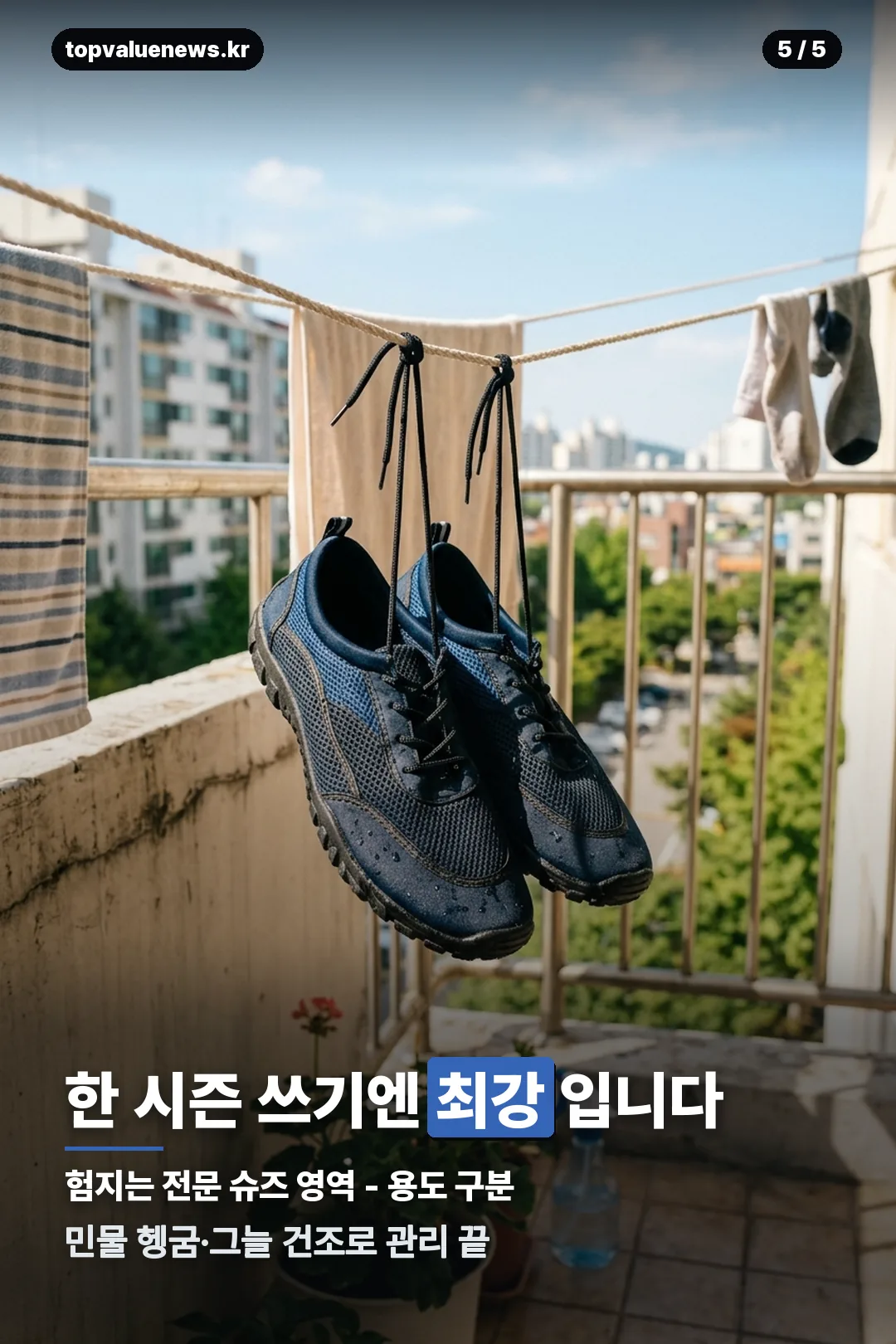 다이소 아쿠아삭스 안내 카드 5