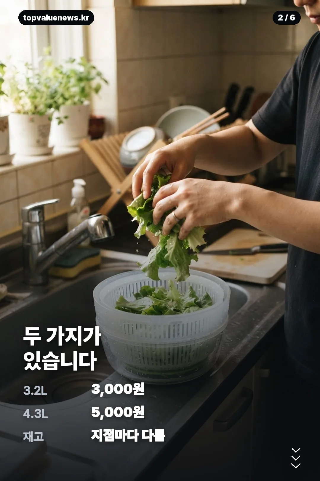 다이소 야채짤순이 카드뉴스 2