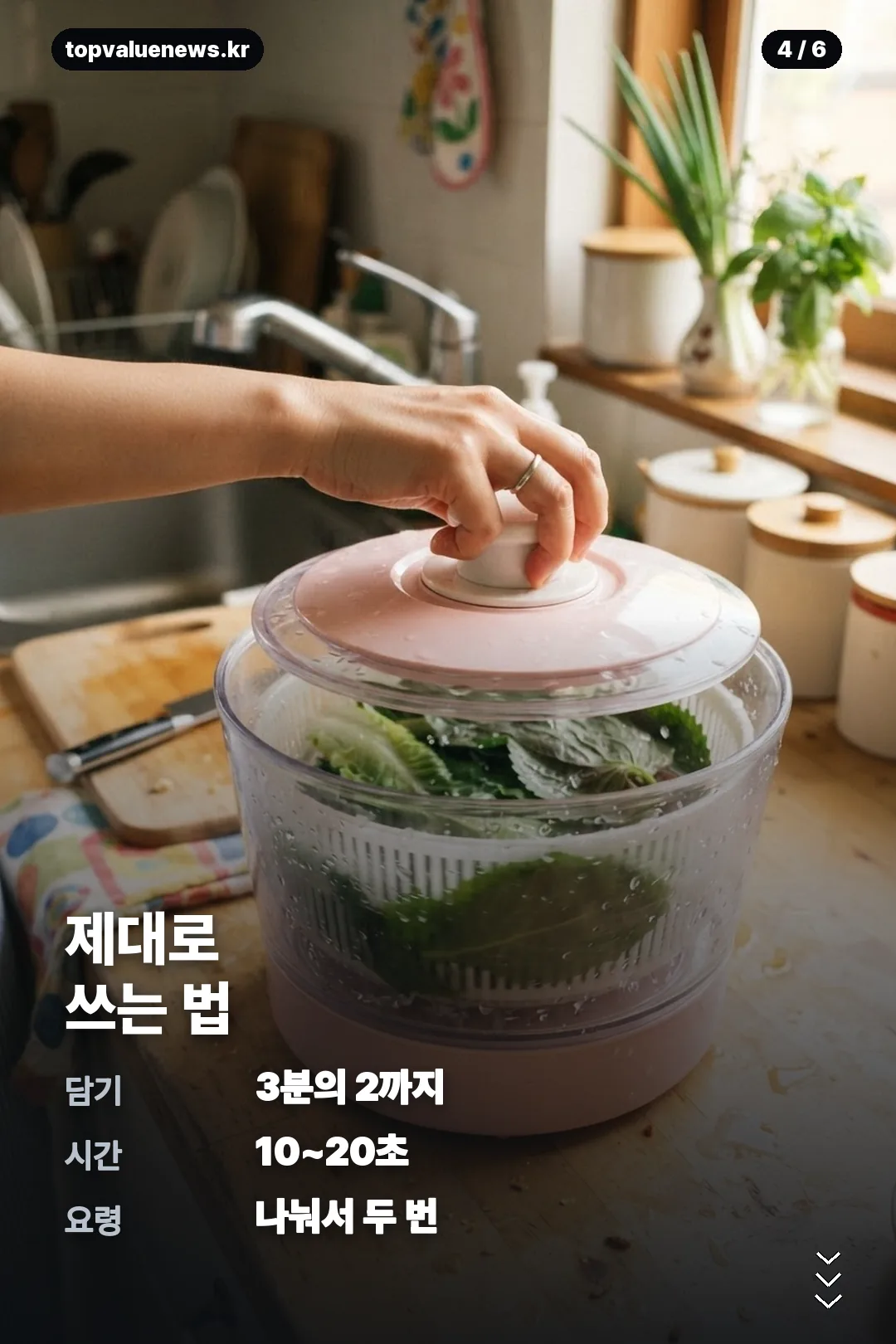 다이소 야채짤순이 카드뉴스 4