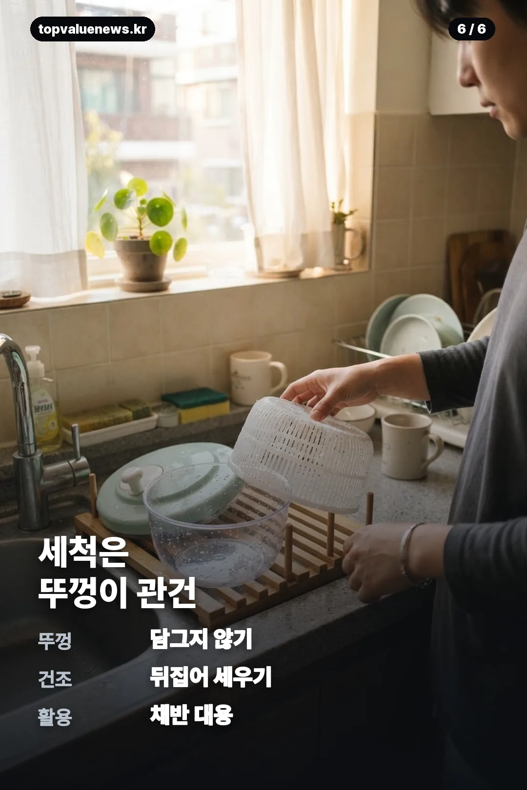 다이소 야채짤순이 카드뉴스 6