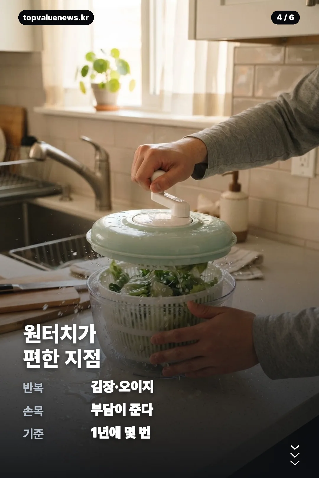 다짜고짜 짤순이 카드뉴스 4