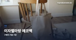 이자벨마랑 에코백 | 정품 구매처와 가품 구분법 isabelmarant-ecobag-thumbe