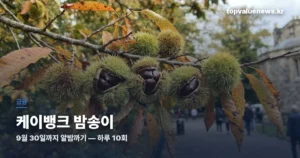 kbank-bamsongi-guide-thumb