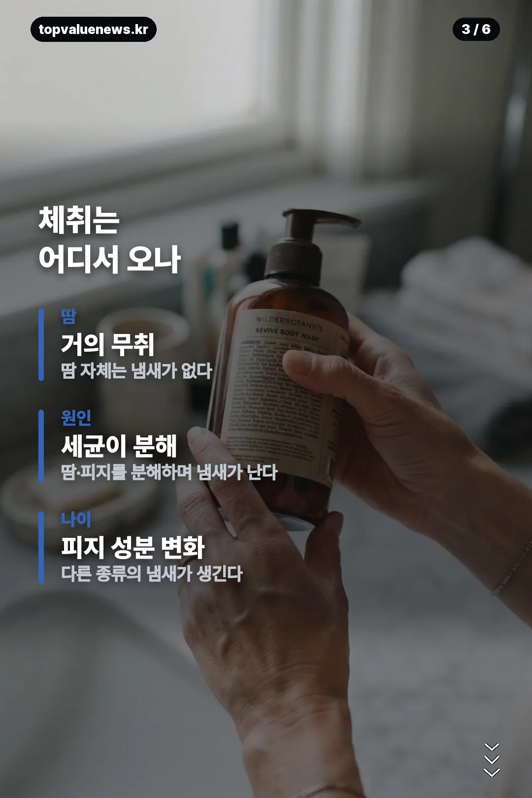 퍼시닌 바디워시 내돈내산 카드뉴스 3