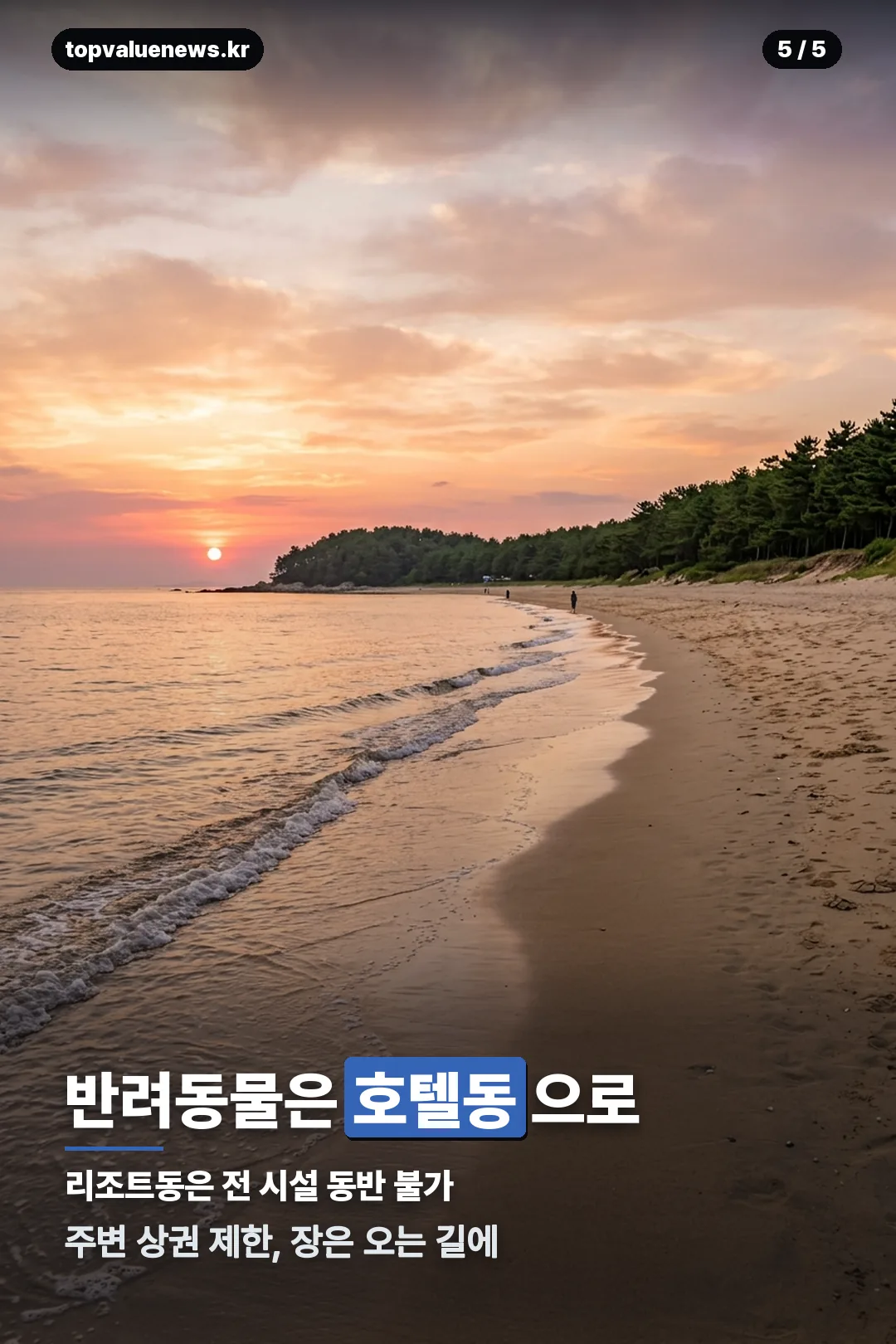 씨원리조트 자은도 예약 안내 카드 5